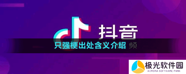 只强梗出处含义介绍