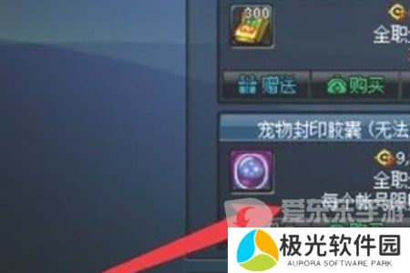 地下城与勇士起源宠物封印胶囊怎么用 宠物封印胶囊使用方法