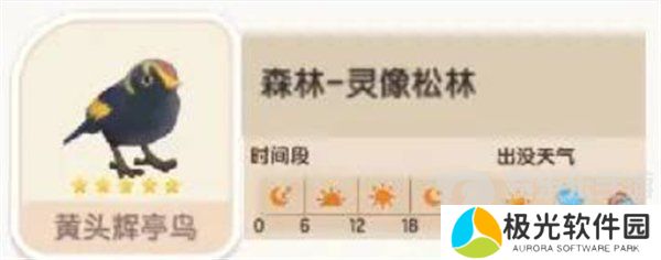 心动小镇黄头辉亭鸟在哪出没 黄头辉亭鸟位置