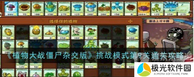 植物大战僵尸杂交版挑战模式第9关怎么过 挑战模式第9关通关方法