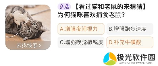 淘宝每日一猜1.10今日答案 为何猫咪喜欢捕食老鼠答案解析