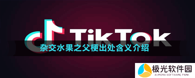 杂交水果之父梗出处含义介绍