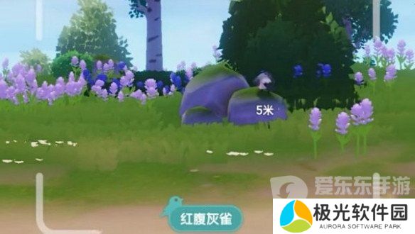 心动小镇怎么拍照 心动小镇拍照技巧分享