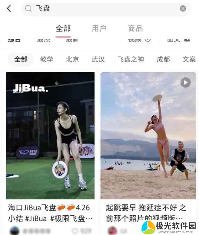 飞盘媛梗出处含义介绍