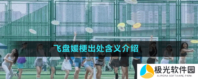 飞盘媛梗出处含义介绍