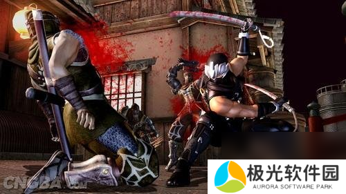 忍者龙剑传3：刀锋边缘极忍任务10打法