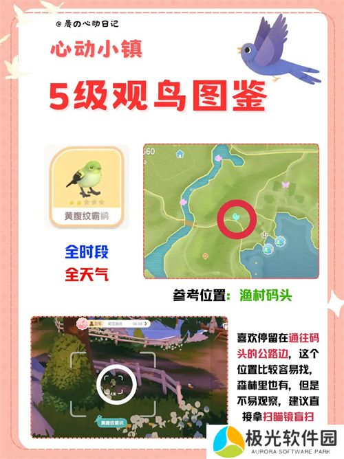 心动小镇五级观鸟详细位置整理一览