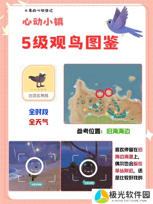 心动小镇五级观鸟详细位置整理一览