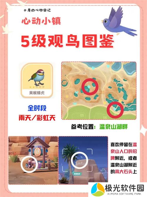 心动小镇五级观鸟详细位置整理一览