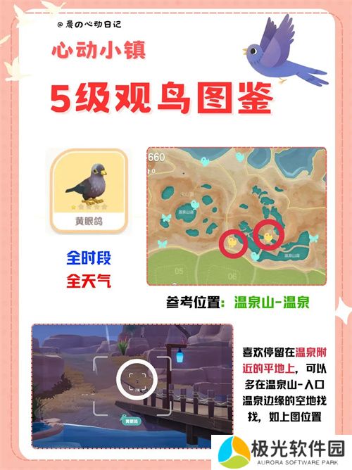 心动小镇五级观鸟详细位置整理一览
