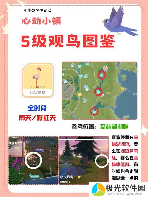 心动小镇五级观鸟详细位置整理一览