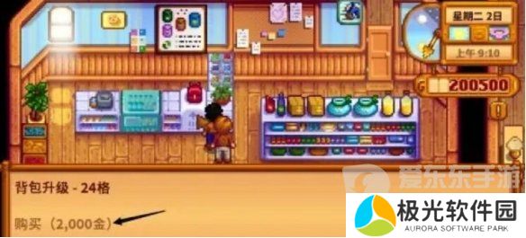 星露谷物语背包格子怎么增加 星露谷物语背包格子增加方法