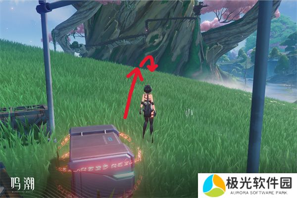 鸣潮无光之森生态调查图文攻略介绍