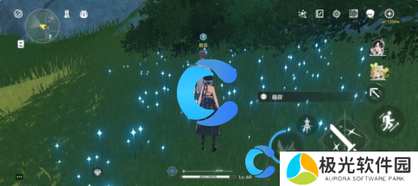 鸣潮倾听动物之声兔语翻译任务完成攻略