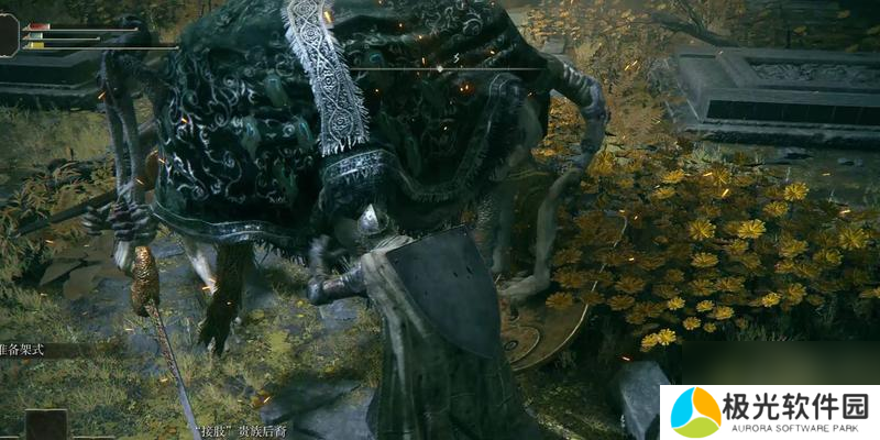 《掌握艾尔登法环流浪骑士的最强加点策略》（打造无敌战士）