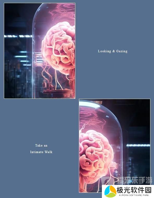 百变大侦探大脑归处凶手是谁 大脑归处剧本解析