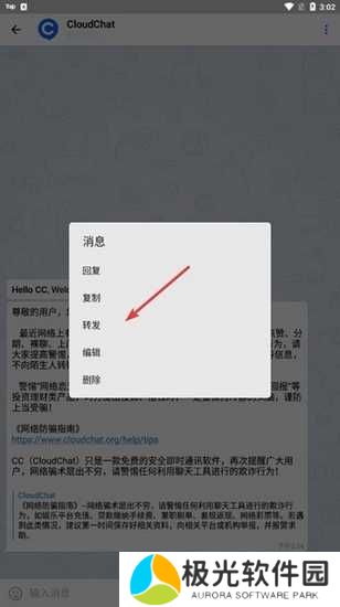 CC聊天软件图片6