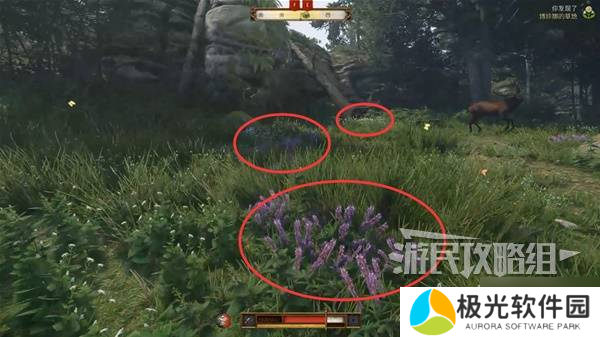 天国拯救2图文攻略大全 所有任务全流程攻略总汇
