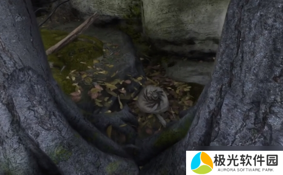 《天国拯救2》狮子纹章位置一览